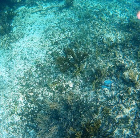 El Cenote Crystal